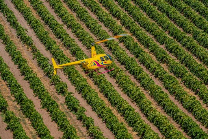 Private Barossa Valley Helicopter Flight: Jacob's Creek & Lyndoch