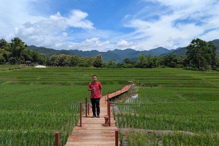 Luang Prabang: Kuang Si Waterfall & Rice Farm Tour