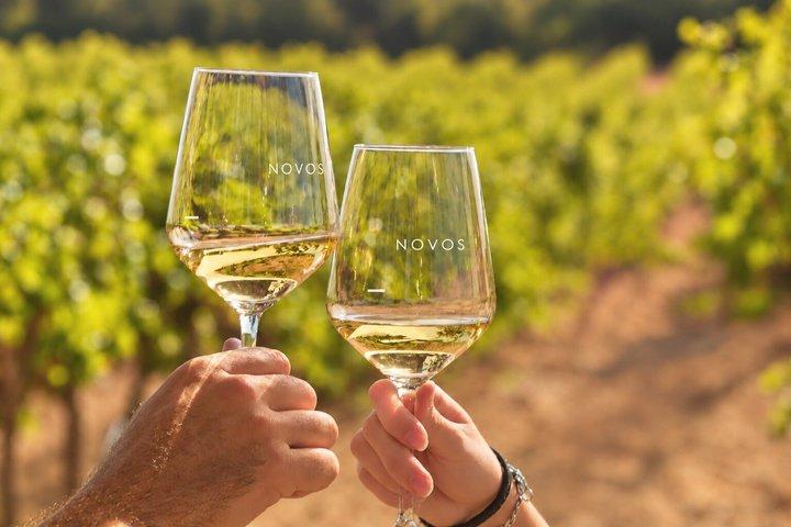 Requena Sunset Winery Tour Wine Tasting and Local Bites