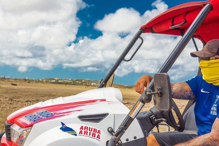 Aruba Off Road UTV Island Tour: Rugged Coastline & Culture