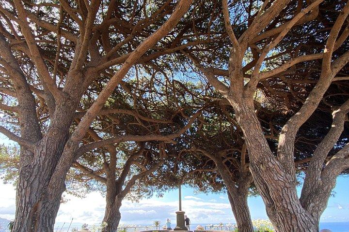 Nuns Valley & Madeira's Hidden Viewpoints