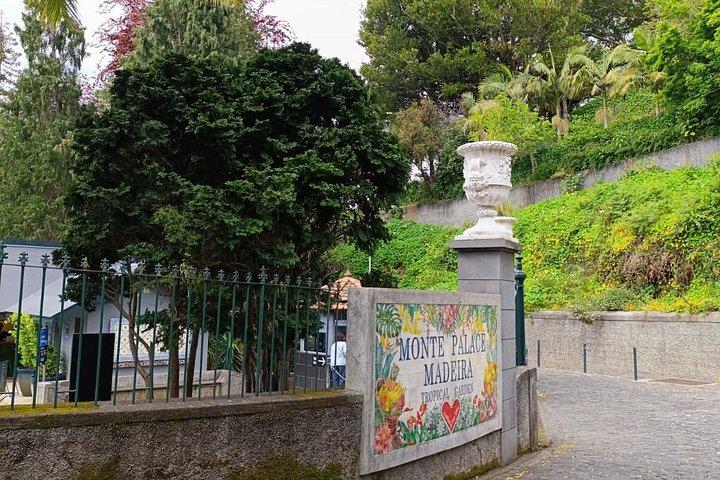 Nuns Valley & Madeira's Hidden Viewpoints