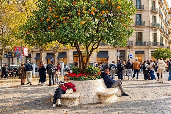 Visite privée de Barcelone : Découvrez les points forts de la ville.