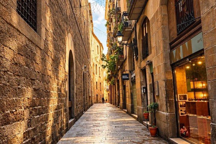 Visite privée de Barcelone : Découvrez les points forts de la ville.