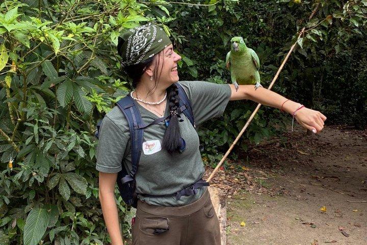 360° Jungle Day Tour Expedition Amazonia Ecuador rainforest