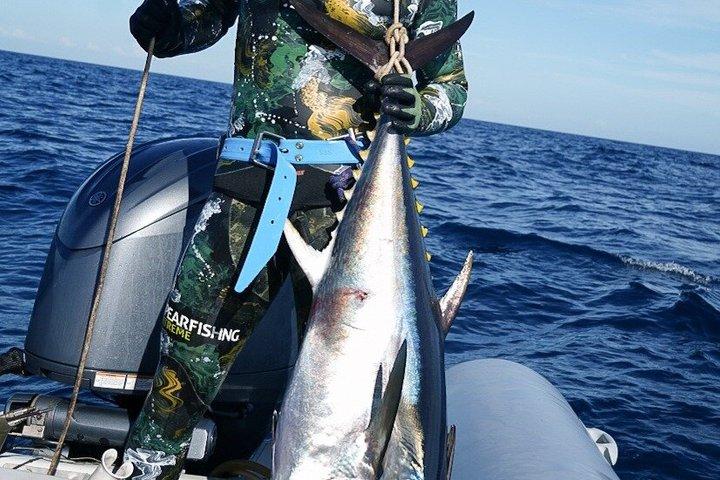 カプリ島でのスピアフィッシングとシュノーケリング