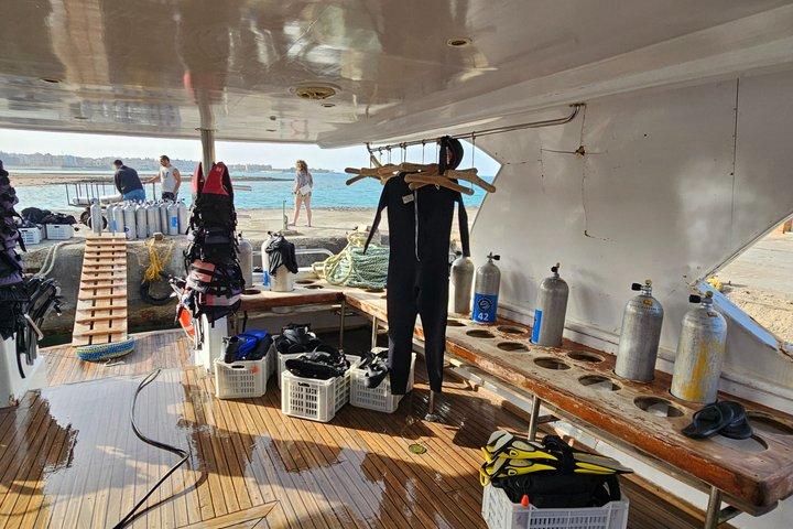 ハルガダ紅海ダイビング&シュノーケリング日帰り旅行