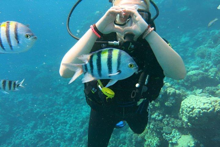 ハルガダ紅海ダイビング&シュノーケリング日帰り旅行