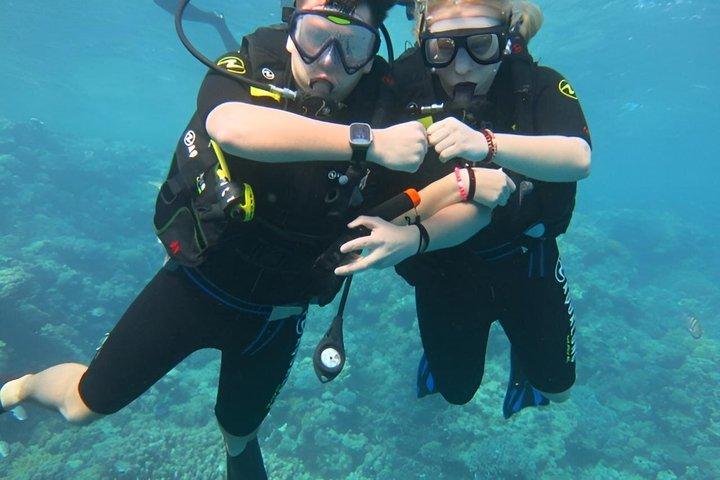 ハルガダ紅海ダイビング＆シュノーケリング日帰り旅行