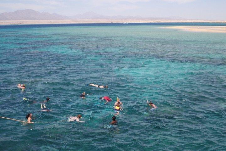 ハルガダ紅海ダイビング＆シュノーケリング日帰り旅行