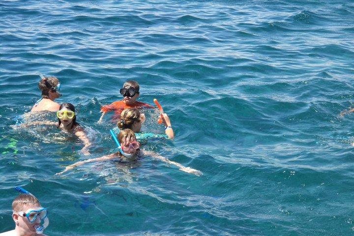 ハルガダ紅海ダイビング＆シュノーケリング日帰り旅行