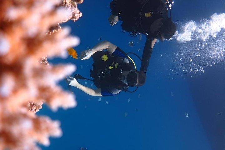 ハルガダ紅海ダイビング＆シュノーケリング日帰り旅行