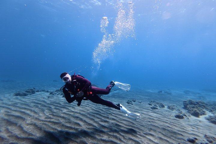 Tenerife Beginner Try Dive with Collection and Photos