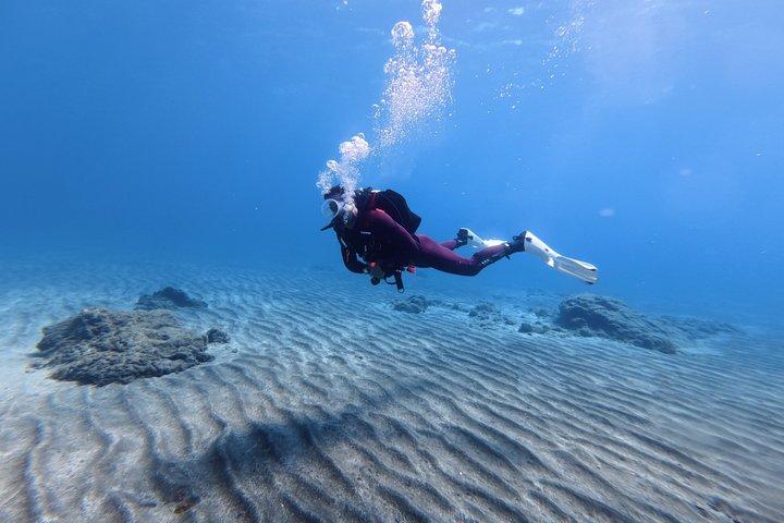 Private Beginner Try Dive with Collection and Photos