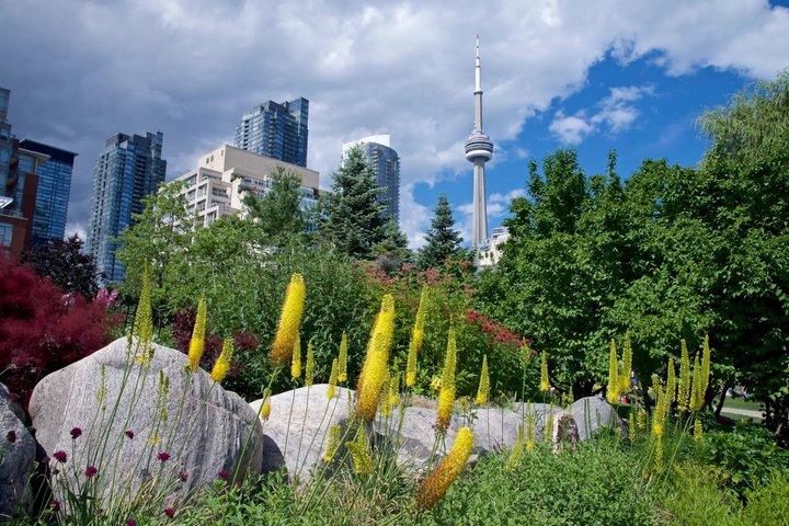 Toronto Haunted Old Town Self Guided Ghost Tour