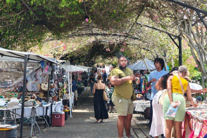 プライベートオールインクルーシブ パナマシティ＆運河ツアー