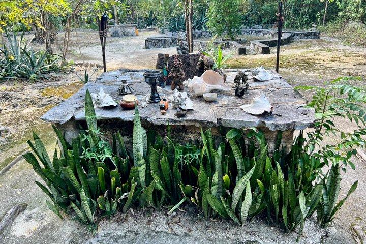 Mayan Temazcal & sacred cenote experience