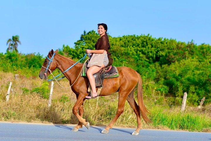 Punta Cana Horseback Riding & Macau Beach Experience