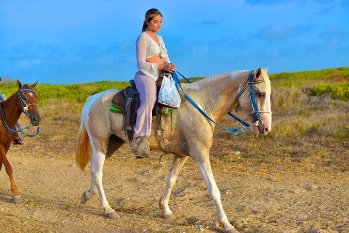 Punta Cana Horseback Riding & Macau Beach Experience