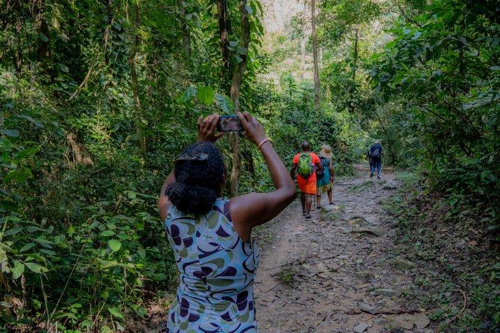 Wli Waterfall and Tafi Atome Monkey Sanctuary (Day Visit)