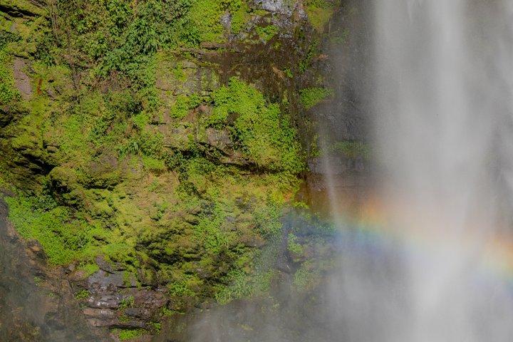 Wli Waterfall and Tafi Atome Monkey Sanctuary (Day Visit)