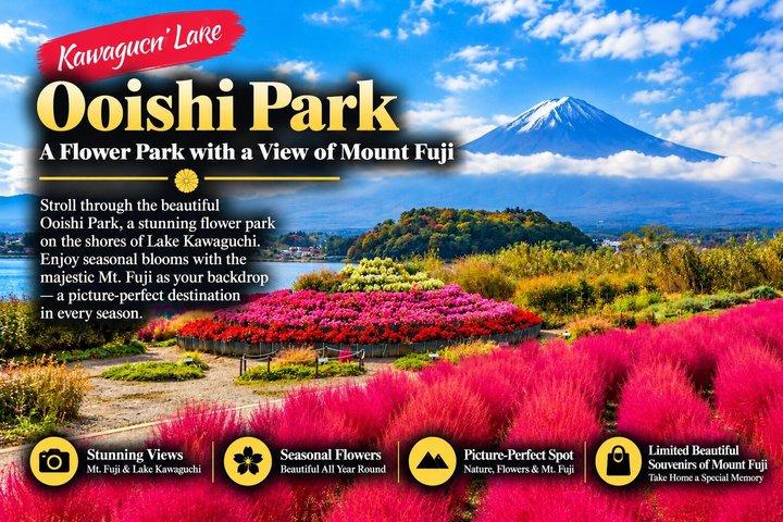 Mount Fuji Full Day Sightseeing Tour from Tokyo