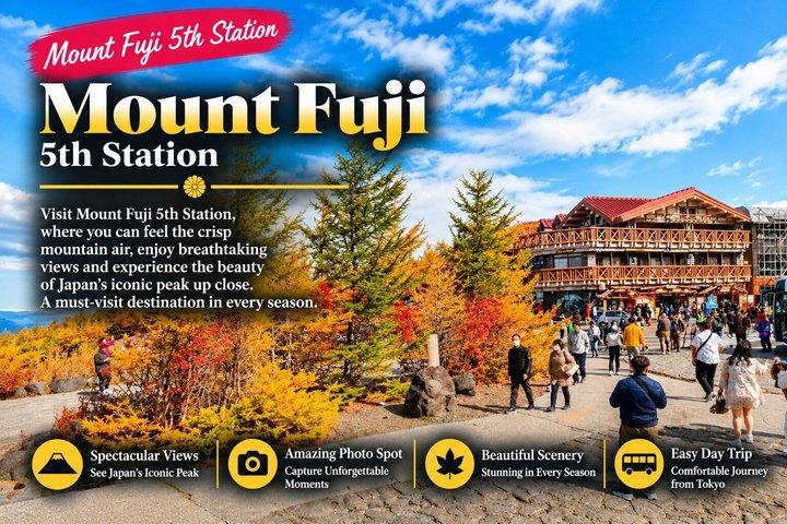 Mount Fuji Full Day Sightseeing Tour from Tokyo