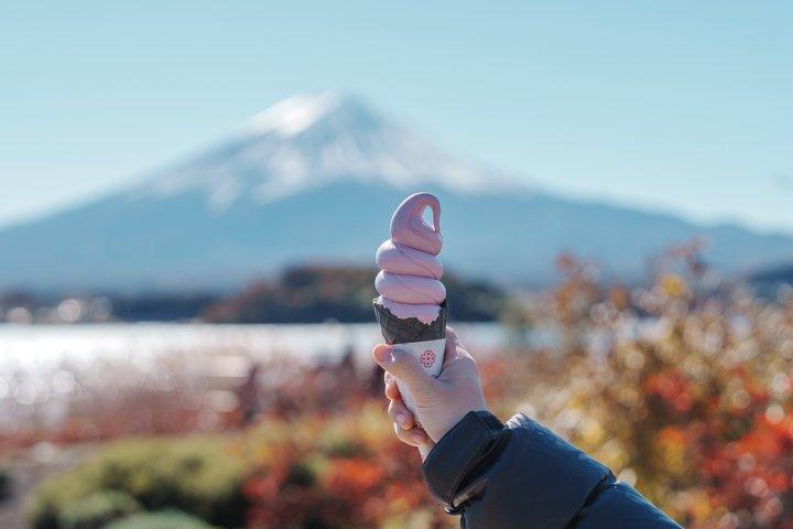 Mount Fuji Full Day Sightseeing Tour from Tokyo