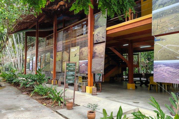 Tour at the MUSA – Amazon Museum in Manaus Amazon Experience