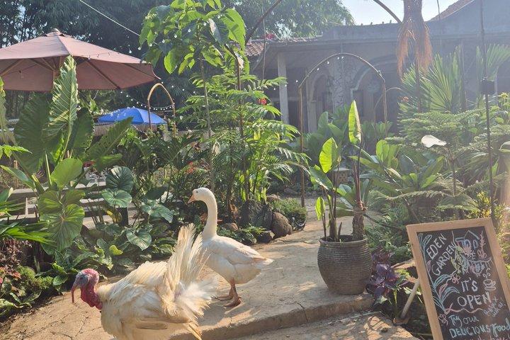 Jakarta Bogor Tour Traditional Performance and Explore rural