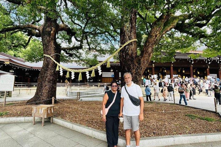 明治神宮霊林と神道の伝統散策ツアー