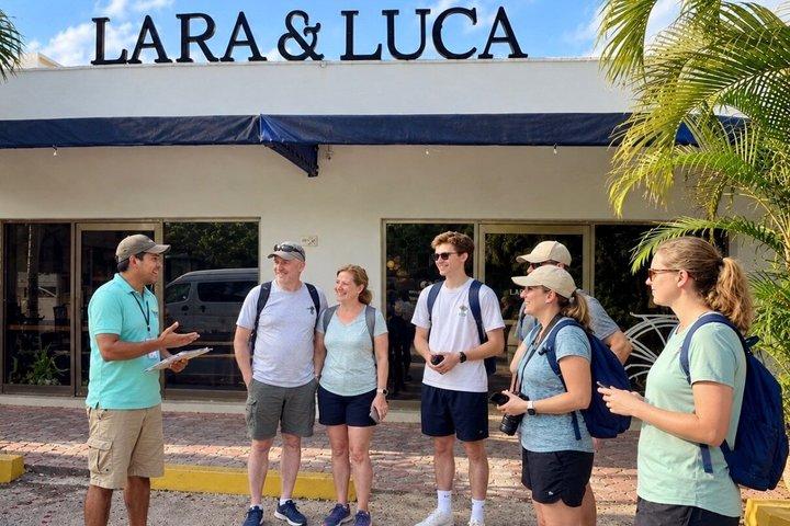 Mayan Temazcal & sacred cenote experience