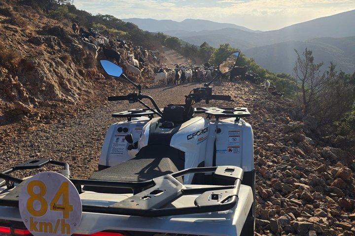 Off Road Buggy Tour Athens Adventure