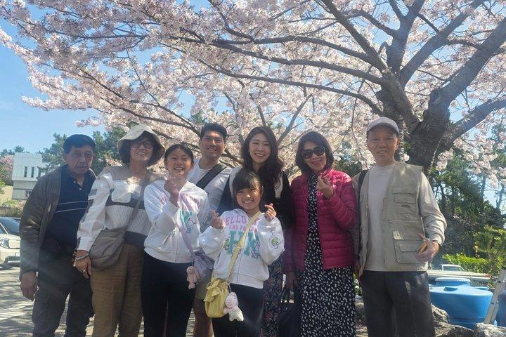 [On Time Return] Busan Private Tour for Cruise passengers