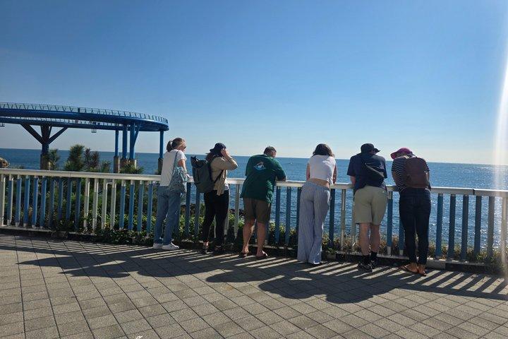 [On Time Return] Busan Private Tour for Cruise passengers