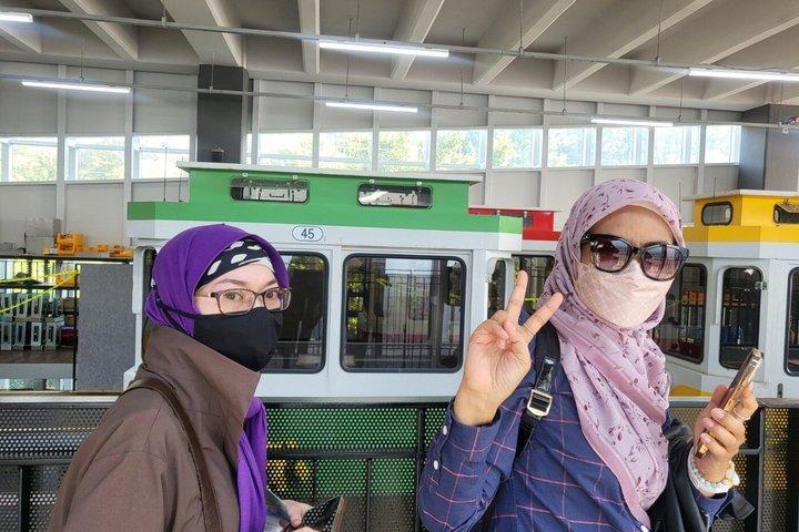 [On Time Return] Busan Private Tour for Cruise passengers