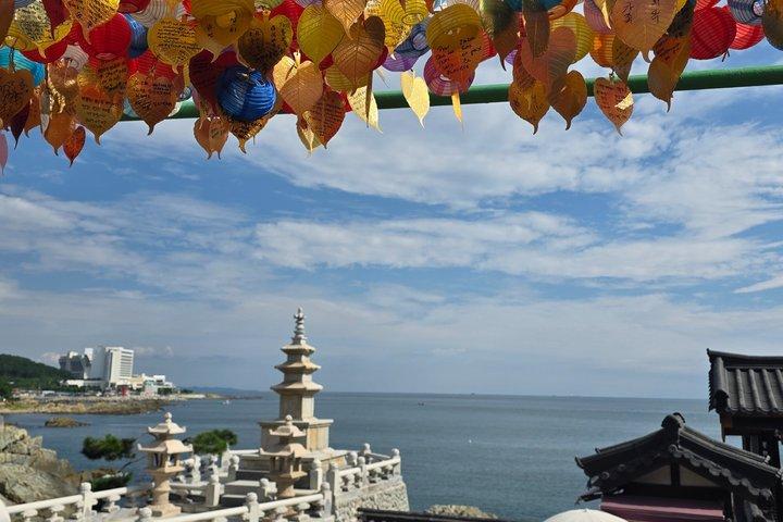 [On Time Return] Busan Private Tour for Cruise passengers