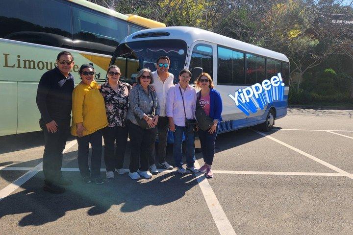 [On Time Return] Busan Private Tour for Cruise passengers