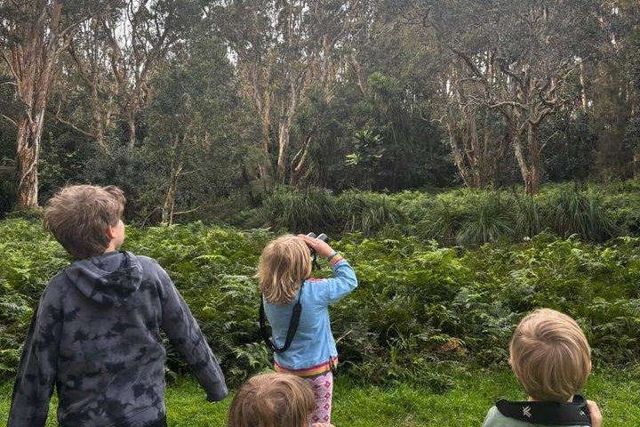 Sydney Guided Wildlife Walk Explore Birds and Nature