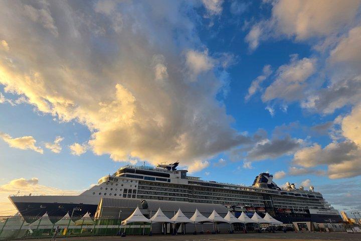 [On Time Return] Busan Private Tour for Cruise passengers
