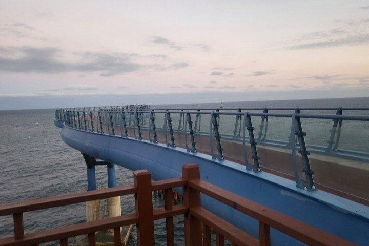 [On Time Return] Busan Private Tour for Cruise passengers