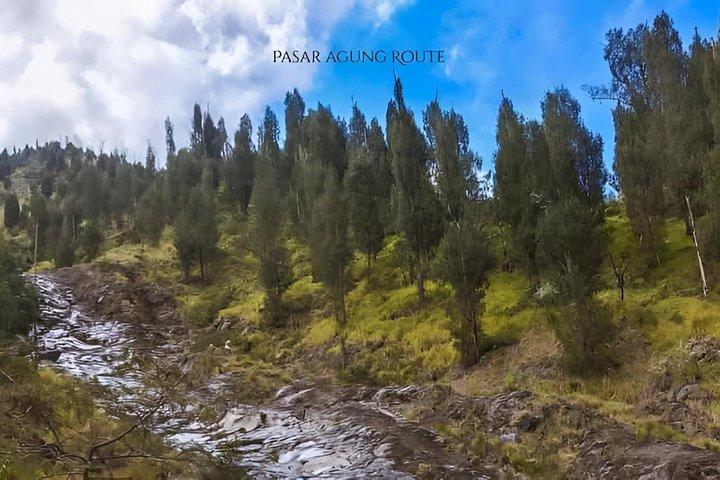 シデメン:マウント・アグン日の出または日中のトレッキング 3,142mの山頂