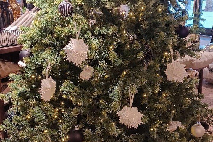 クリスマス パリ プライベートツアー：ノートルダム、コーヒー＆フランス語菓子