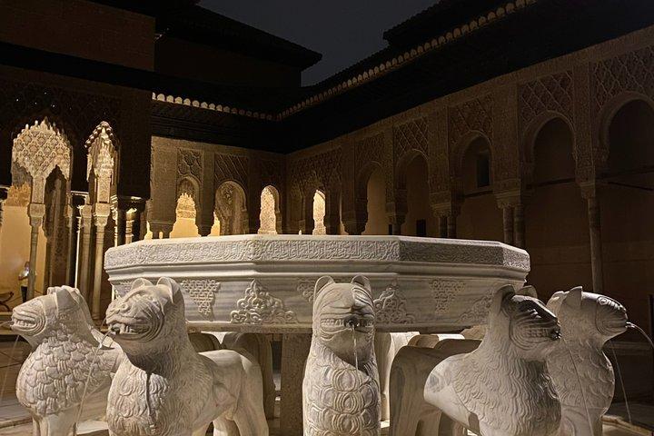Night Visit to the Nasrid Palaces of the Alhambra