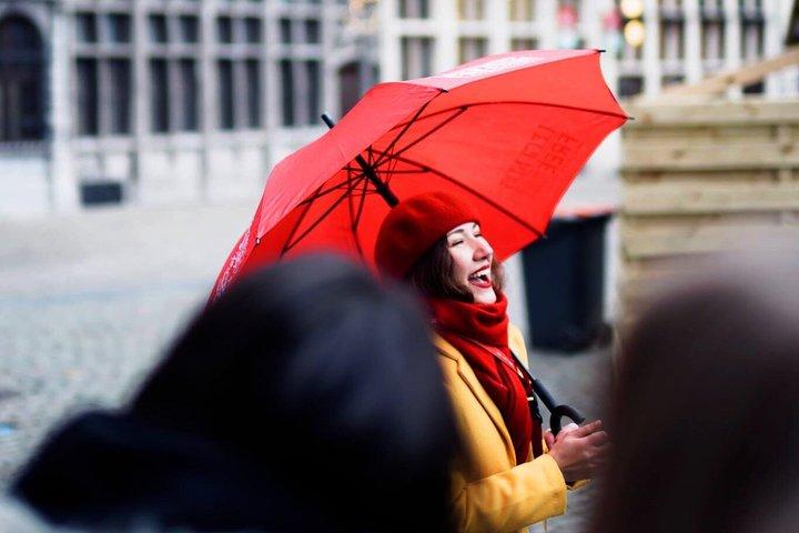 Private tour: History and Highlights of Antwerp