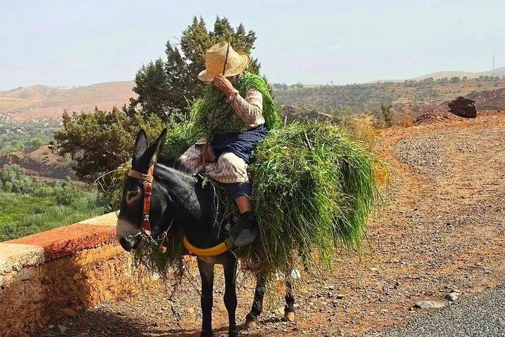 Private 2 Day Mount Toubkal Trek from Marrakech With Local Guide
