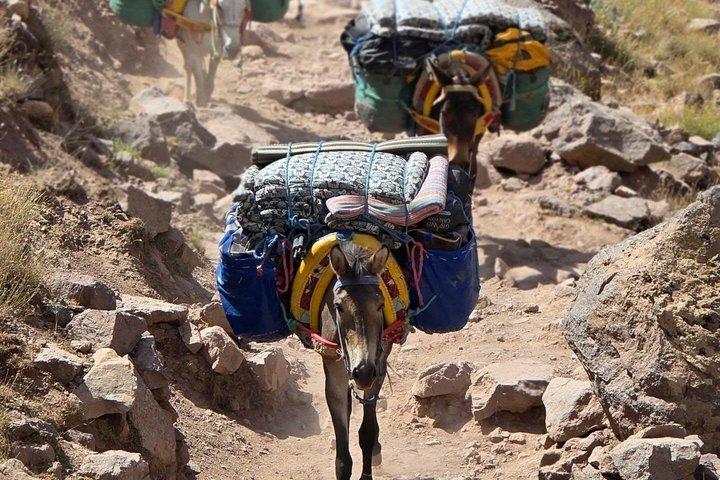 Private 2 Day Mount Toubkal Trek from Marrakech With Local Guide