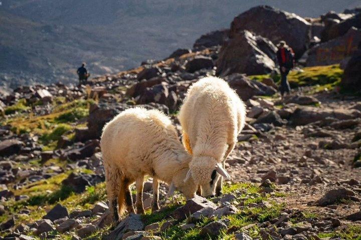 Private 2 Day Mount Toubkal Trek from Marrakech With Local Guide