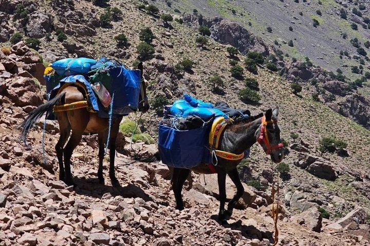 Private 2 Day Mount Toubkal Trek from Marrakech With Local Guide
