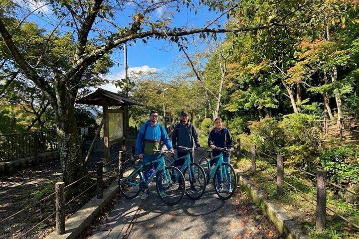 京都：3時間サイクリングまたはE-バイクツアーで名所と隠れた名所を巡る